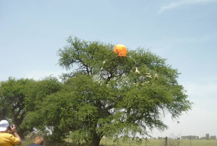El globo y su carga util, en un calden a 8 mts de altura